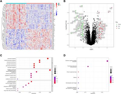 Comprehensive analyses of m6A RNA methylation patterns and related immune microenvironment in idiopathic pulmonary arterial hypertension